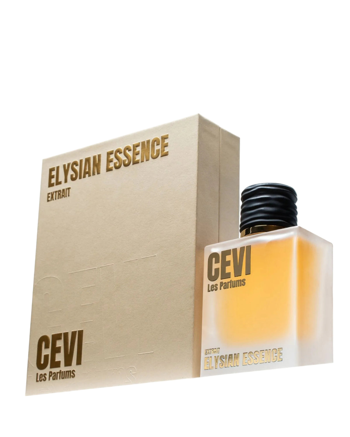 Authorised Distributors – CEVI Perfumes