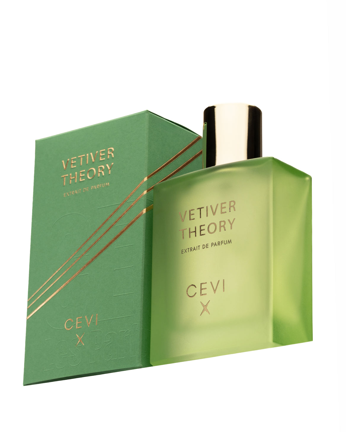 CEVI X VETIVER THEORY