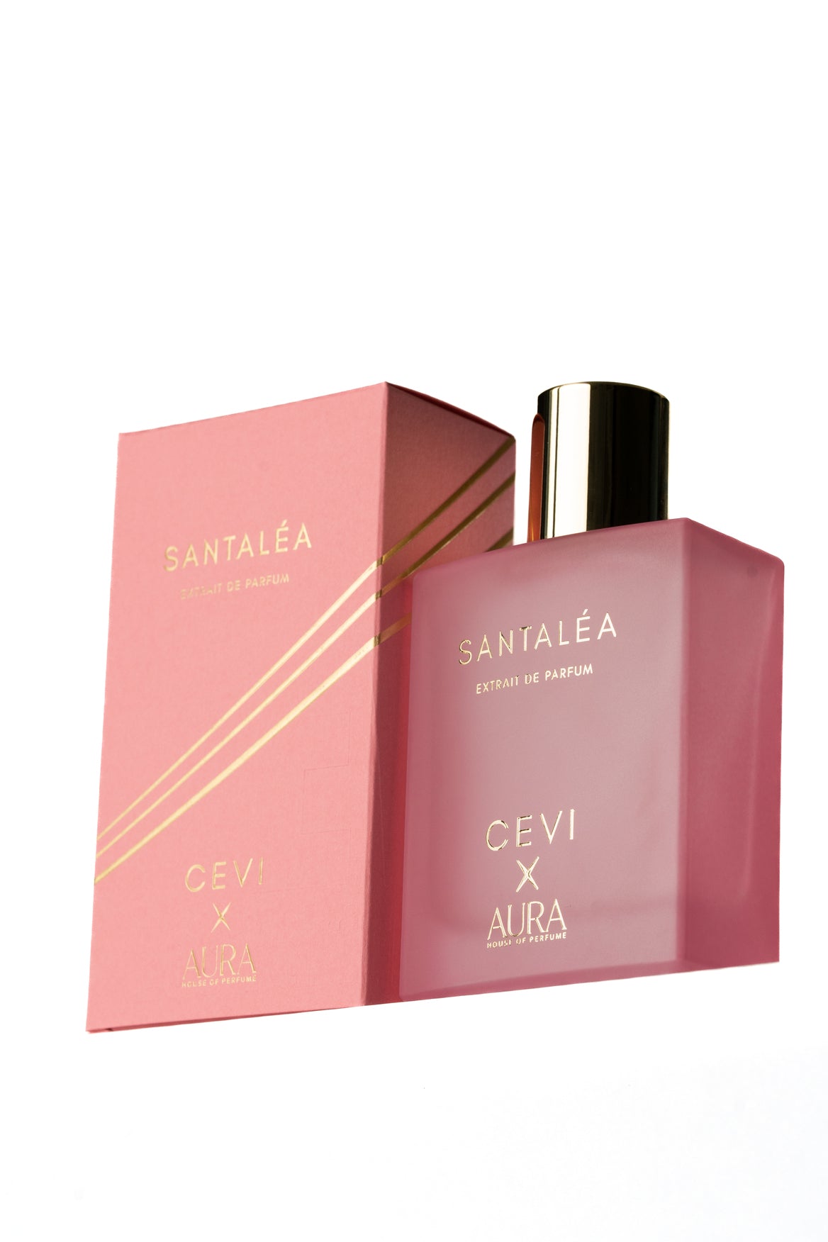 CEVI X SANTALEA EXTRAIT Inspired By Memo Paris Madurai